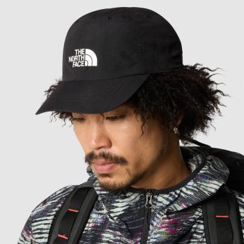 The north face horizon hat os