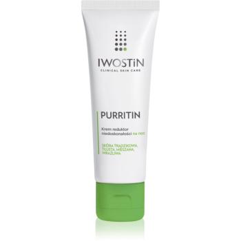 Iwostin Purritin noční krém pro mastnou pleť se sklonem k akné 40 ml