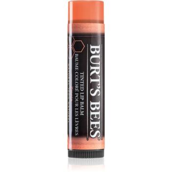 Burt’s Bees Tinted Lip Balm balzám na rty odstín Zinnia 4.25 g