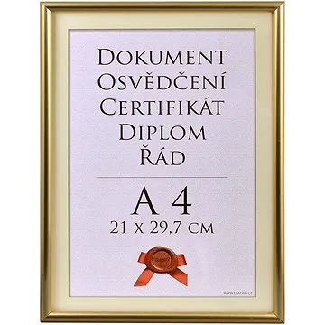 TRADAG Fotorámeček 21 × 29,7 cm, zlatý (2821_3007)