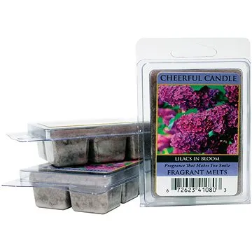 CHEERFUL Šeřík 57 g  (674623410807)