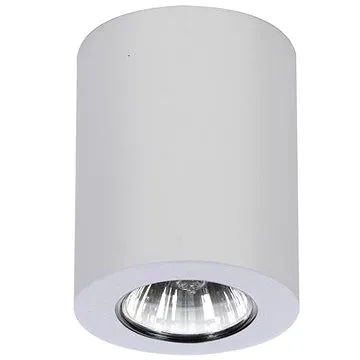 Azzardo AZ1054 - Stropní svítidlo BORIS 1xGU10/50W/230V (94830)