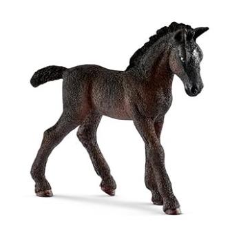 Schleich Lipicánské hříbě 13820 (4055744012365)