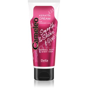 Delia Cosmetics Cameleo Smooth & Shine 60 sec krém na vlasy pro lesk a hebkost vlasů 250 ml