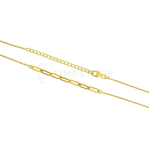 Stříbrný náhrdelník ve zlaté barvě TS-PN-0063