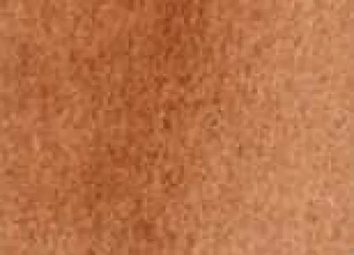 Akvarelová barva DS 15ml – 230 Burnt Sienna Light