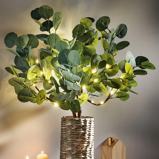 Weltbild LED Dekorace Eukalyptus