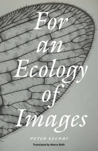 For an Ecology of Images - Peter Szendy
