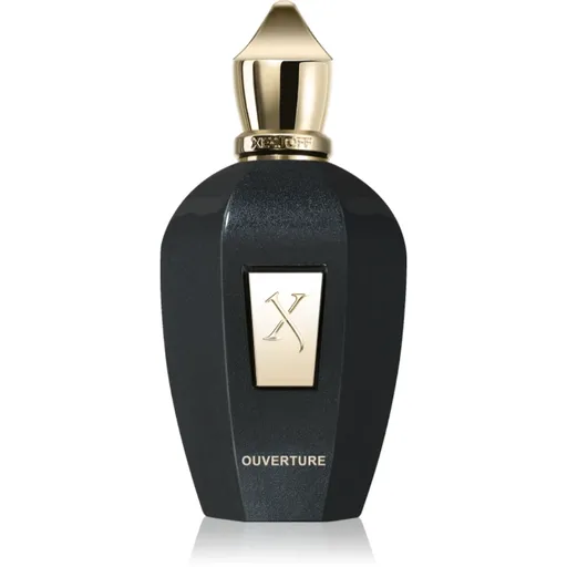 Xerjoff Ouverture parfémovaná voda unisex 100 ml