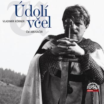 Údolí včel (5 CD) - audiokniha