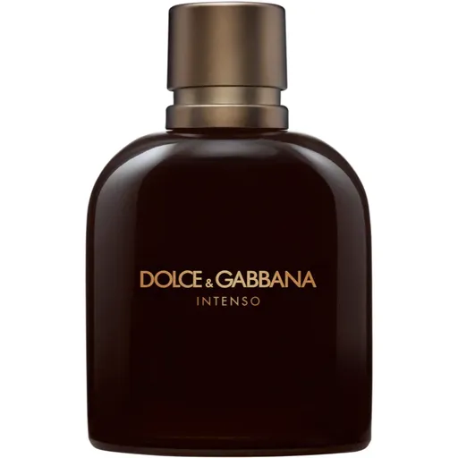 Dolce&Gabbana Pour Homme Intenso parfémovaná voda pro muže 125 ml
