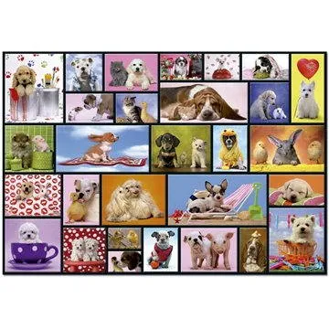 Zvířecí kamarádi (8412668155183)