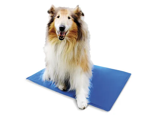 Chladící podložka