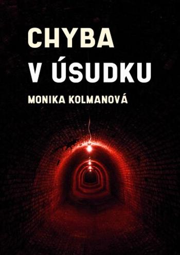 Chyba v úsudku - Monika Kolmanová - e-kniha