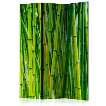 Paraván Bamboo Forest Dekorhome 135x172 cm (3-dílný)