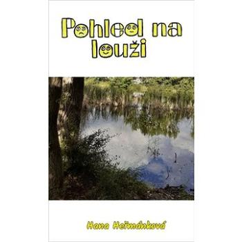 Pohled na louži (978-80-907737-8-3)