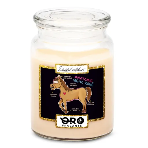 Svíčka Anatomie mého koně (Vůně svíčky: Vanilka)