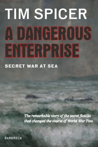 A Dangerous Enterprise - Tim Spicer