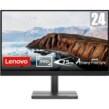 23.8" Lenovo L24e-30 (66BCKAC2EU)