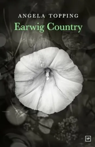 Earwig Country - Angela Topping