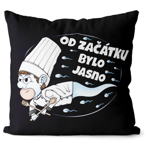 Polštář Kuchařská spermie (Velikost: 55 x 55 cm)