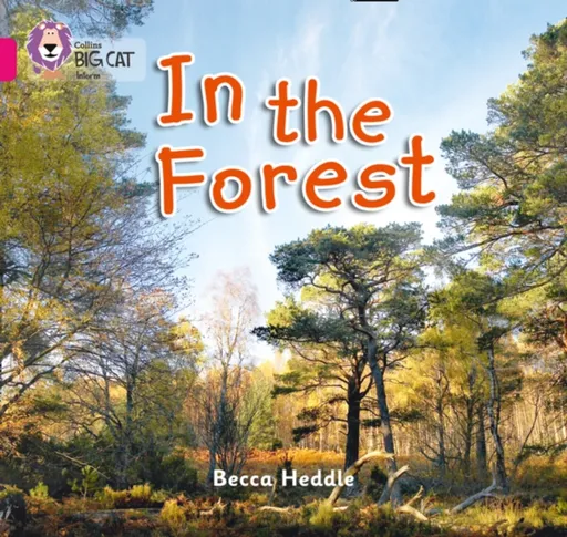 In the Forest - Becca Heddle