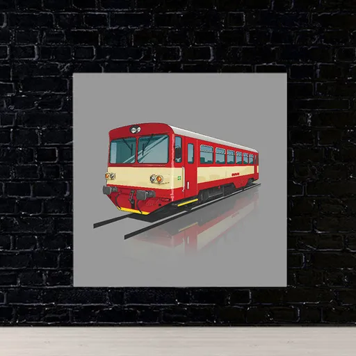 Obraz 810 červená (Rozměr obrazu: 70x70)