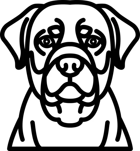 Vsepropejska Psí dekorace na zeď Plemeno: Rotvajler