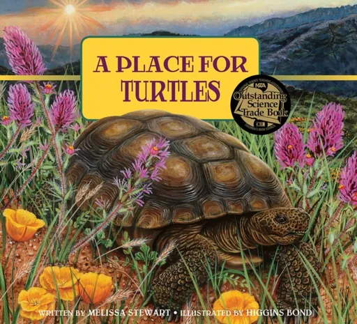 Place for Turtles - Melissa Stewart