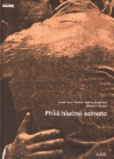 Příliš hlučná samota - komiks - Bohumil Hrabal, Valérie Bergeová, Lionel Tran