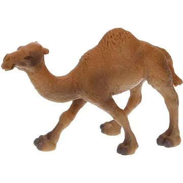 Atlas Velbloud jednohrbý (8590331019168)