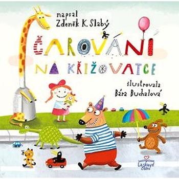 Čarování na křižovatce (978-80-7553-746-1)