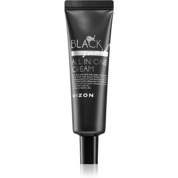 Mizon Black Snail All in One pleťový krém s filtrátem hlemýždího sekretu 90% 35 ml