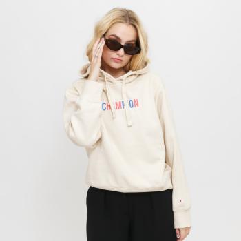 Champion Hooded Sweatshirt L