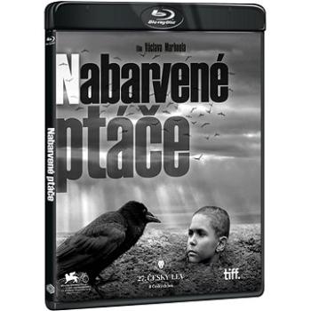 Nabarvené ptáče (2 disky) - Blu-ray (N03248)