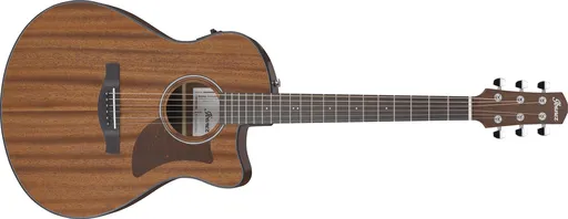 Ibanez AAM54CE Natural