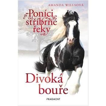 Poníci od stříbrné řeky Divoká bouře (978-80-253-4965-6)