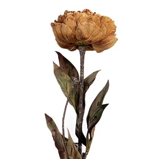 Žluto-hnědá umělá dekorace sušená květina pivoňka - 10*10*65 cm Clayre & Eef