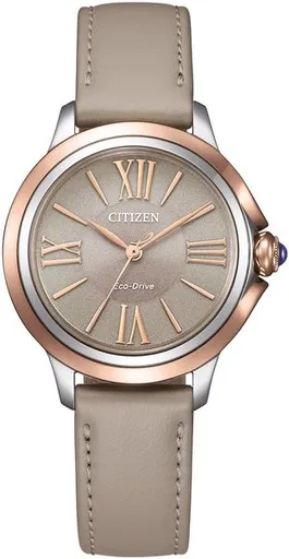 Citizen L Eco-Drive EM1166-01Z