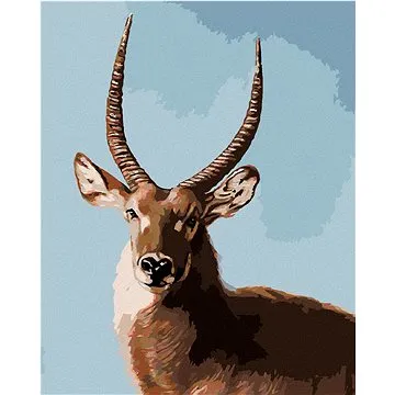 Zuty - Malování podle čísel - ANTILOPA PORTRÉT (D. RUSTY RUST), 80x100 cm, vypnuté plátno na rám (HRAmmb01017nad)