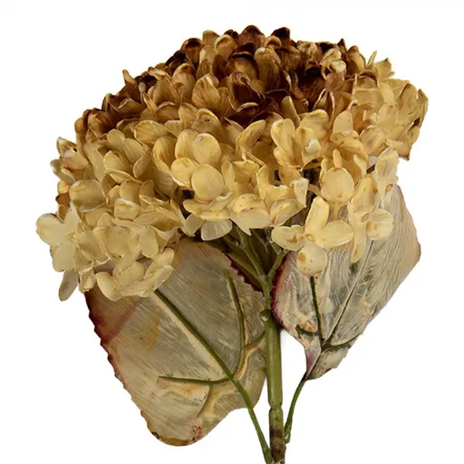 Tmavě béžová umělá dekorace sušená květina hortenzie - 15*15*47 cm Clayre & Eef