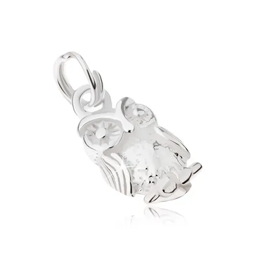 Gravírovaný přívěsek ze stříbra 925 - moudrá sova