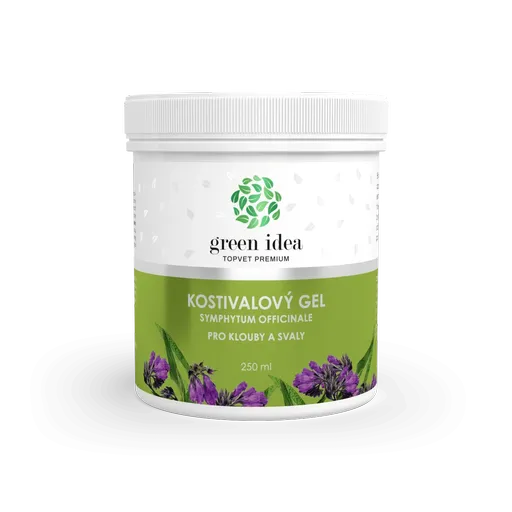 Kostivalový masážní gel 250 ml - Green idea