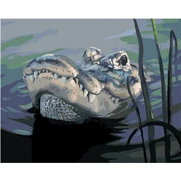 Zuty - Malování podle čísel - ALIGÁTOR HLAVA VE VODĚ (D. RUSTY RUST), 80x100 cm, vypnuté plátno na r (HRAmmb04083nad)