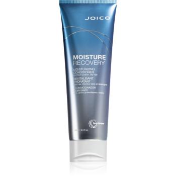 Joico Moisture Recovery hydratační kondicionér pro suché vlasy 250 ml