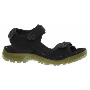 Pánské sandály Ecco Offroad 06956460886 black-corn