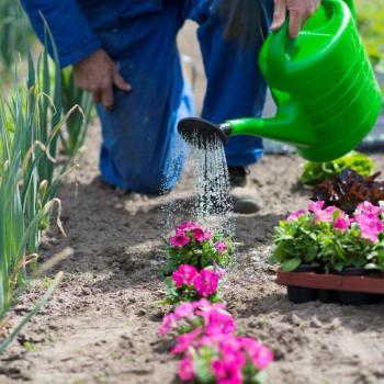 MŰANYAG LOCSOLÓKANNA 13 L - locsolórózsás könnyű öntöző kanna zöl...