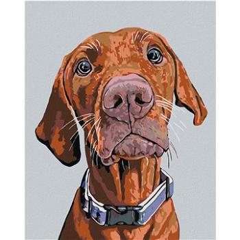 Diamondi - Diamantové malování - RIDGEBACK S MODRÝM OBOJKEM, 40x50 cm, Vypnuté plátno na rám (602989B)