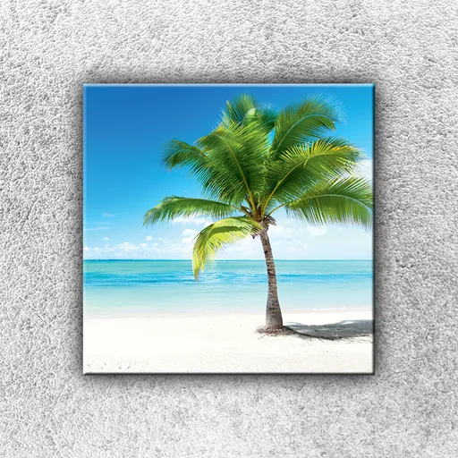 IMPAR Fotografie na plátno Osamocená palma 1 30x30 cm