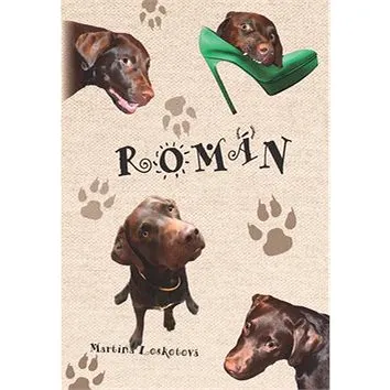 Roman (978-80-7225-455-2)